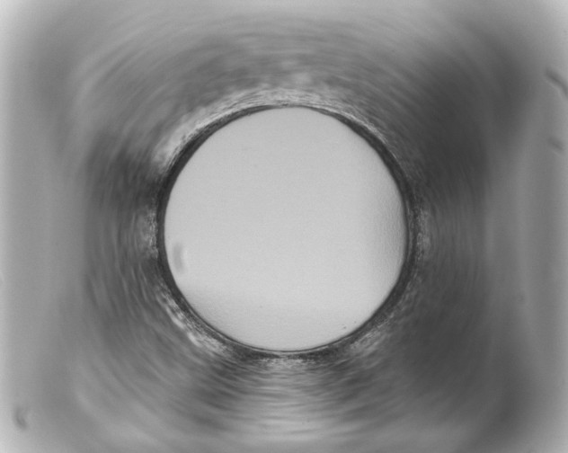 X0000099381499200805291117