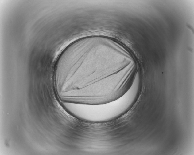 X0000099381500200805291117