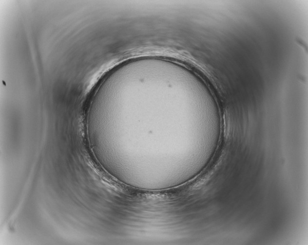 X0000099381501200805291118