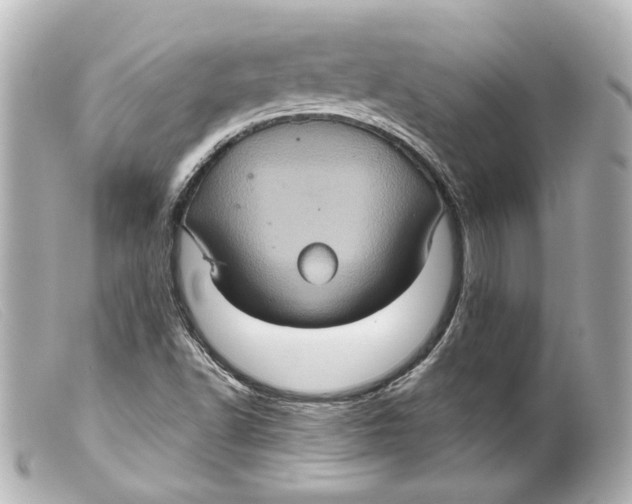 X0000099381502200805291118