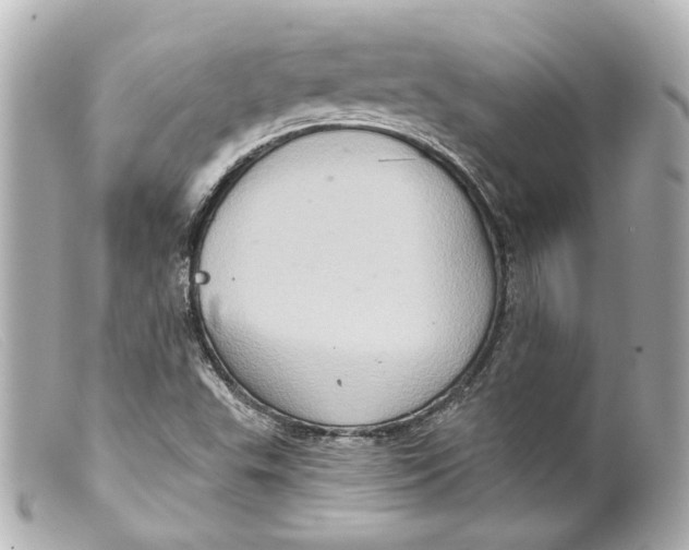 X0000099381503200805291118