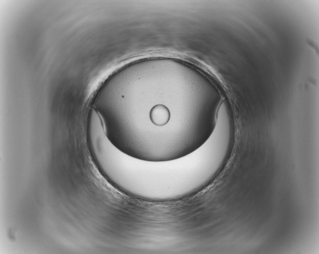 X0000099381504200805291118