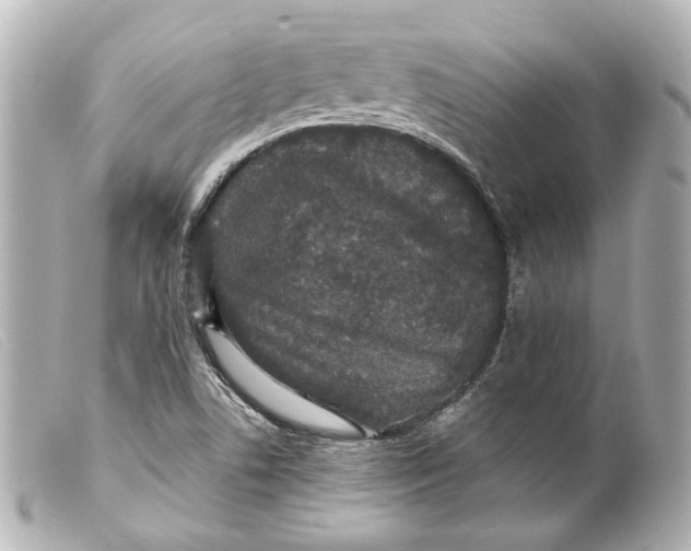 X0000099381506200805291118