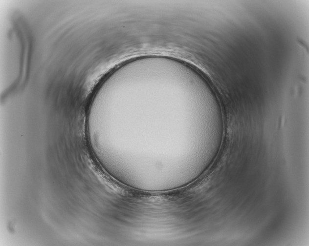 X0000099381507200805291118