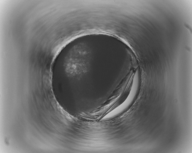 X0000099381508200805291118