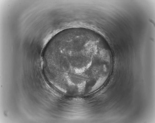 X0000099381509200805291118