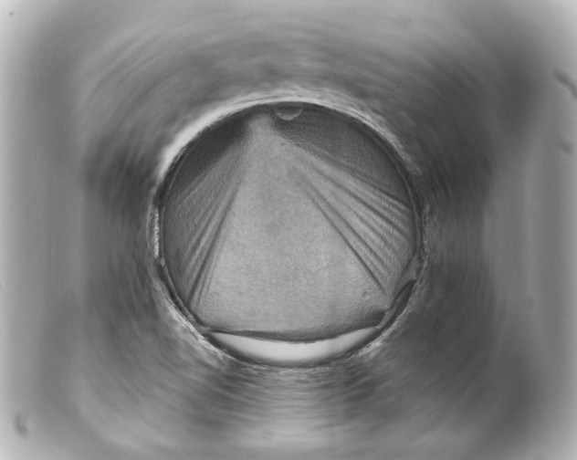 X0000099381510200805291118