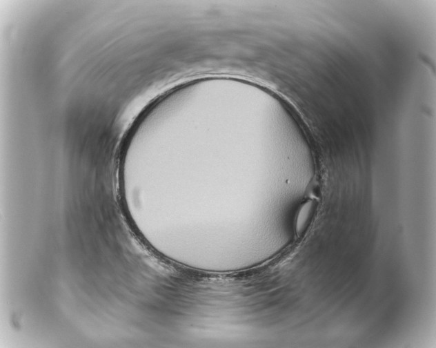 X0000099381511200805291118