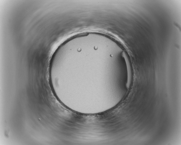 X0000099381512200805291118