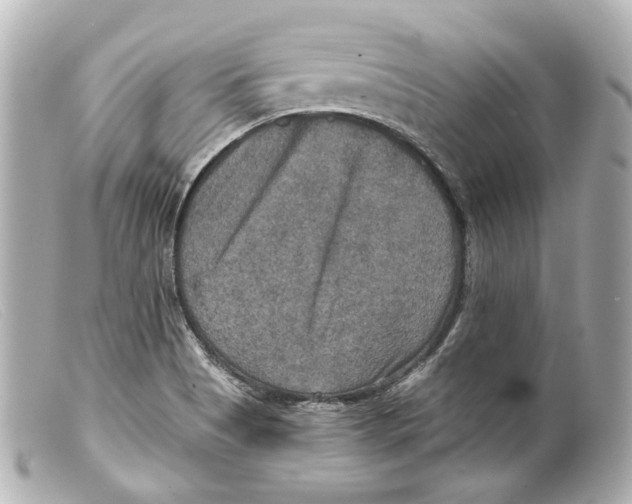 X0000099381513200805291118