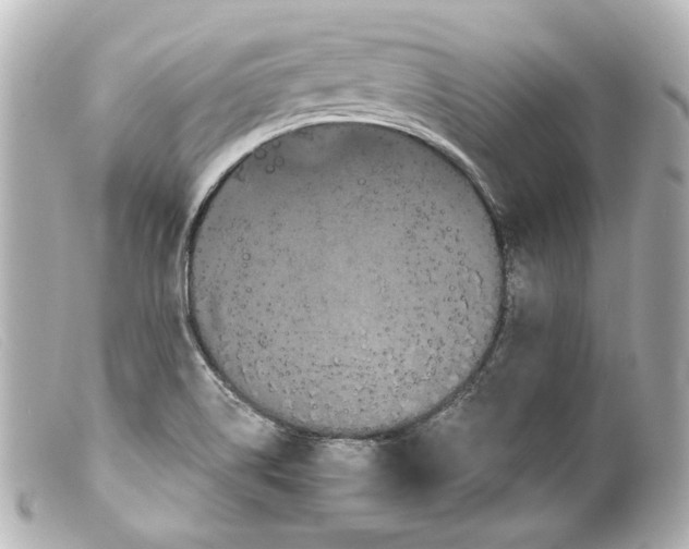 X0000099381514200805291118