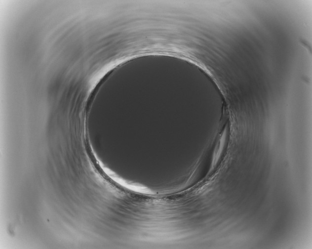 X0000099381515200805291118