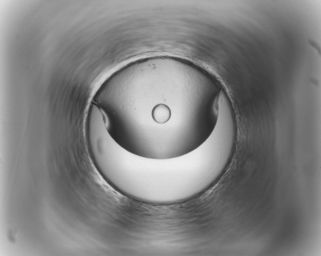 X0000099381516200805291118