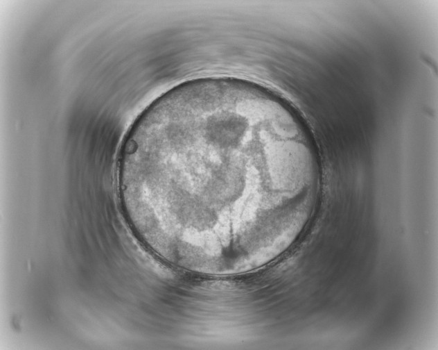 X0000099381517200805291118