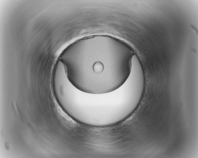 X0000099381518200805291118