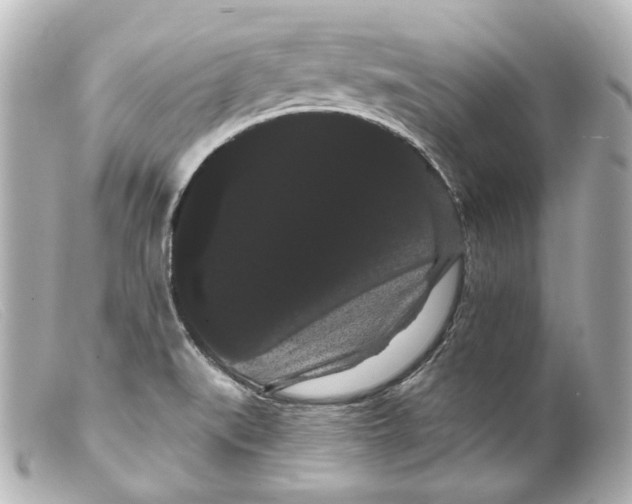 X0000099381519200805291118