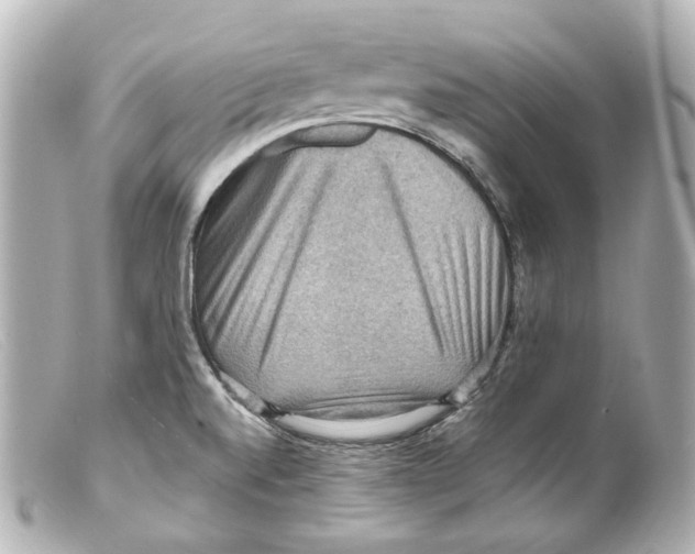 X0000099381520200805291118