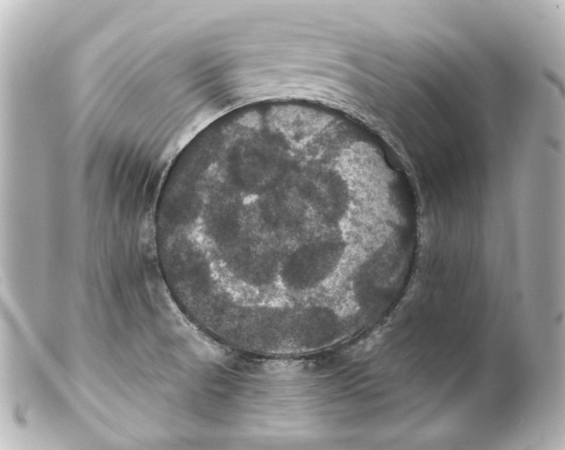 X0000099381521200805291118