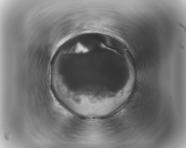 X0000099381522200805291118