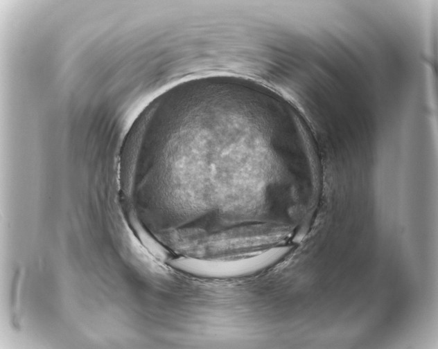 X0000099381524200805291118