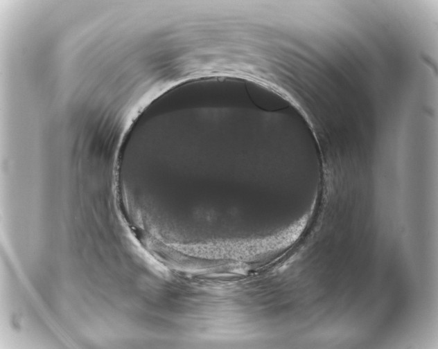 X0000099381525200805291118