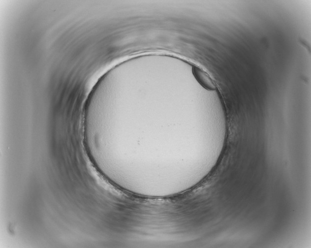 X0000099381526200805291118