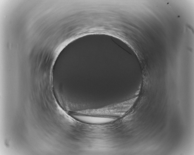 X0000099381527200805291118