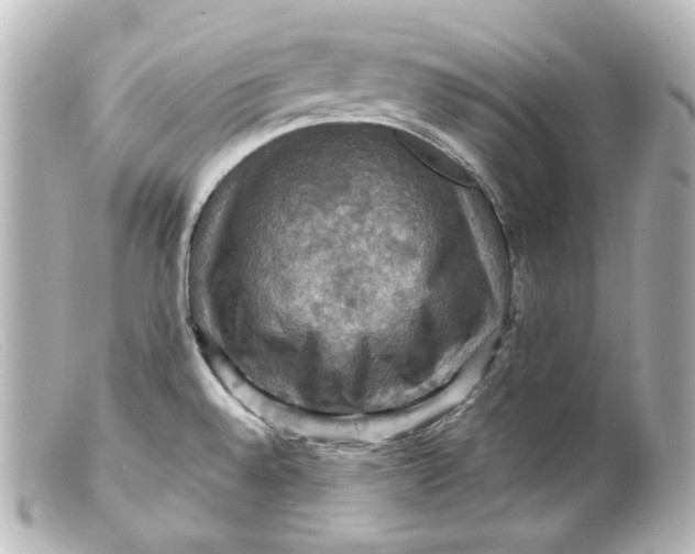 X0000099381528200805291118