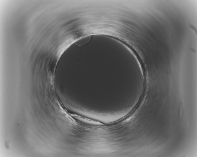 X0000099381529200805291118