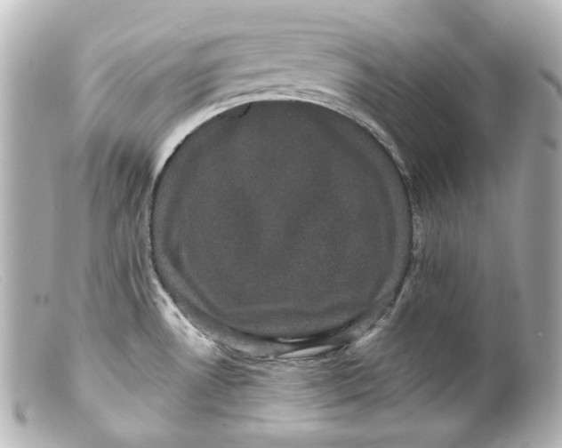 X0000099381530200805291118