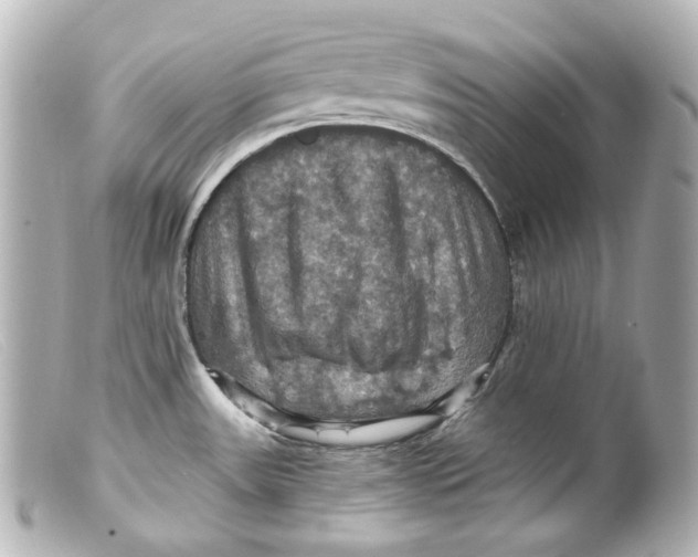 X0000099381531200805291118