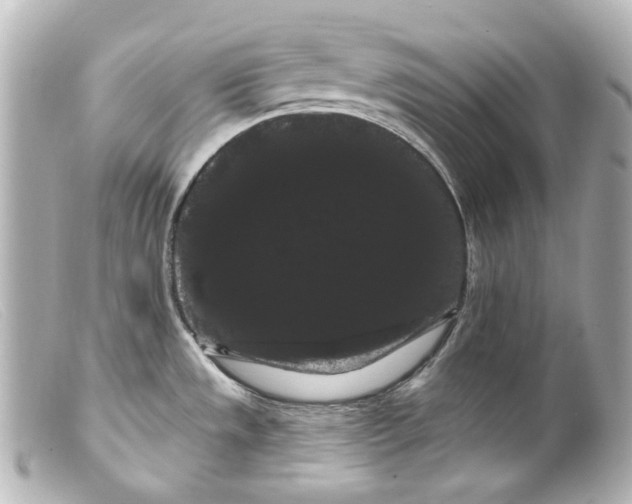 X0000099381533200805291118