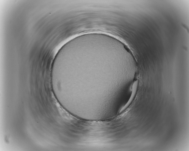 X0000099381534200805291118