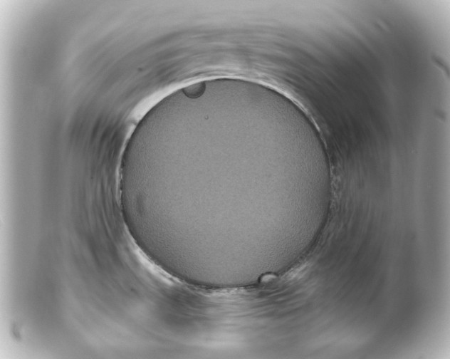 X0000099381535200805291118