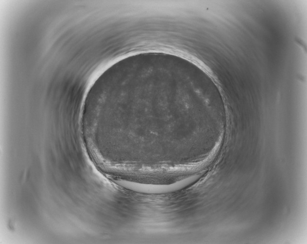 X0000099381536200805291118