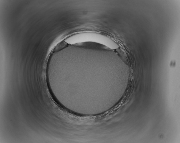 X0000099380004200806051131