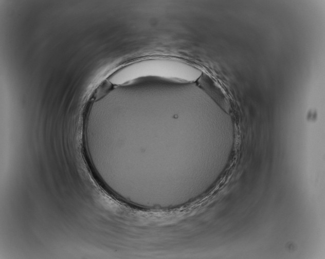 X0000099380005200806051131
