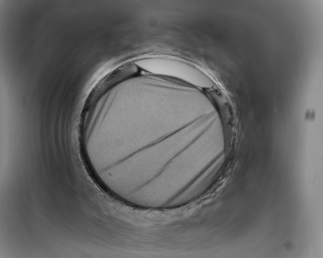 X0000099380007200806051131