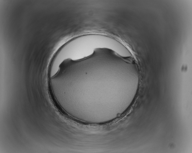 X0000099380008200806051131