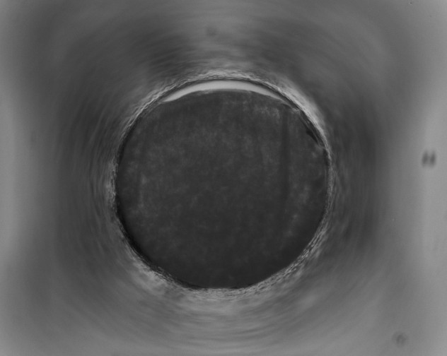 X0000099380009200806051131