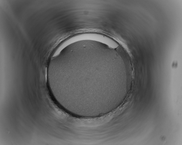 X0000099380013200806051131