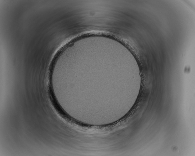 X0000099380016200806051131
