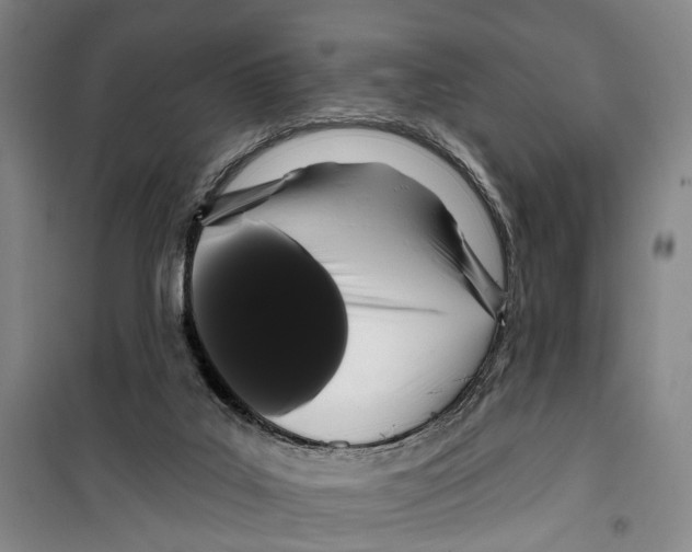 X0000099380019200806051131