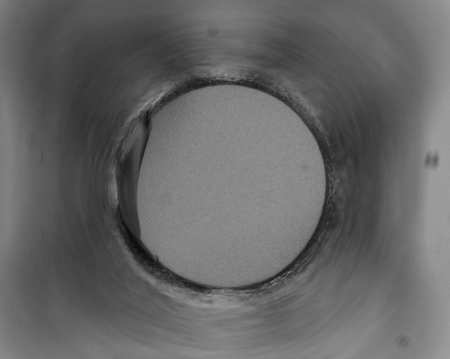 X0000099380020200806051131