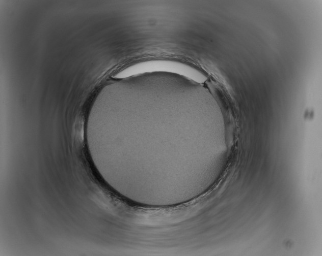 X0000099380021200806051131