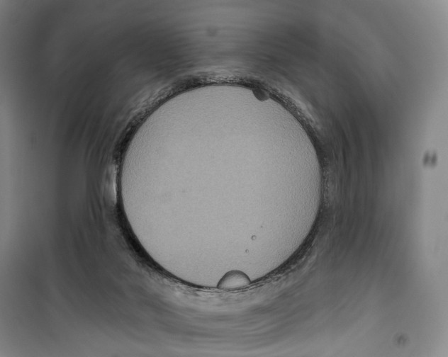 X0000099380022200806051131