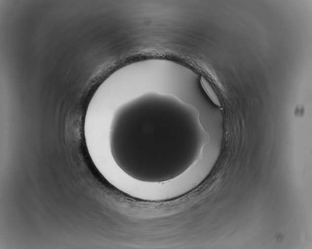 X0000099380023200806051131