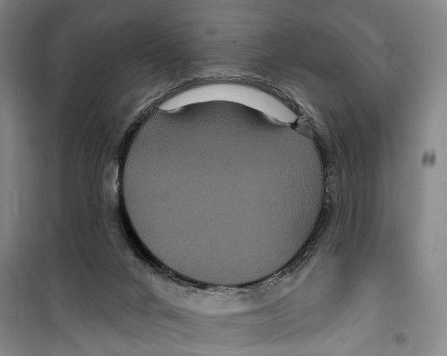 X0000099380024200806051131
