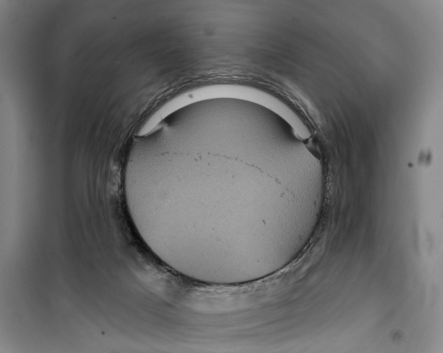 X0000099380025200806051131