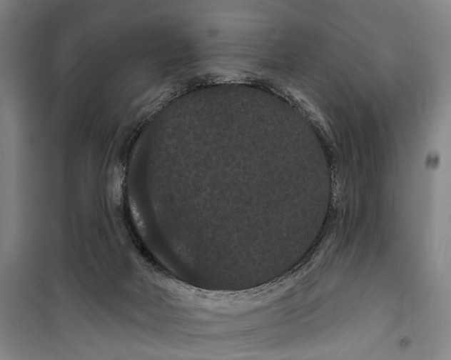 X0000099380026200806051131